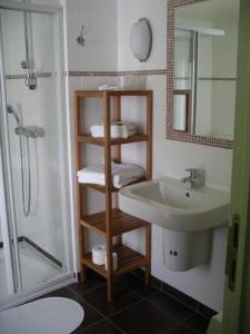 y baño con lavabo y ducha. en Hotel Les Mignees, en Barvaux
