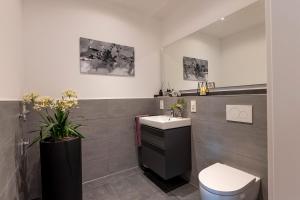 un baño con lavabo e inodoro en NEU MoselROYAL Luxus 2-4 Pers Design Klima, en Traben-Trarbach 29 fotos más