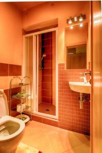 A bathroom at Vila Studienka