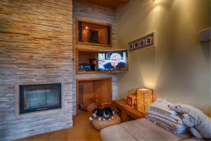 a living room with a fireplace and a tv at Vila Studienka in Starý Smokovec