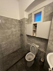 a bathroom with a toilet and a sink at Popi Studio 1 in Braşov