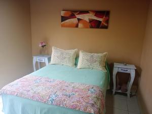 Gallery image of Tunuyán centro in Tunuyán