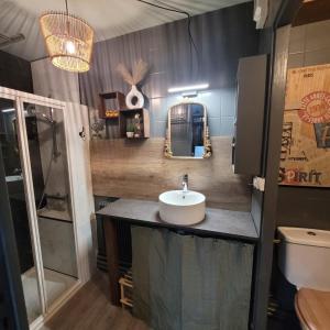 a bathroom with a sink and a mirror at Maison de charme 175m2 - 5 chambres in Aignay-le-Duc +6 photos