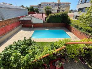 un jardin avec une piscine sur un toit dans l'établissement Casona Doña Petu, à Viña del Mar 1 autre photo