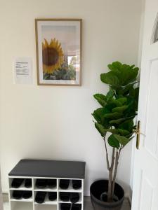 Galeriebild der Unterkunft An enchating and enriching home in Fairfield