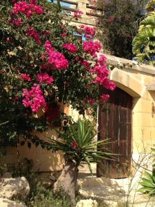 Zahrada ubytování Gozo Holiday Home -Tranquil and Serene