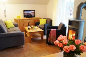 a living room with a fireplace and a tv at Premium Apartments in Wendisch Rietz