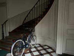 Jízda na kole v ubytování Le Némo - Proche de la Gare nebo okolí