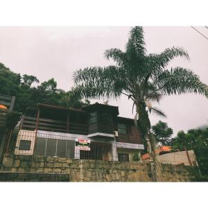 a palm tree in front of a building at Sobrado em Javary - 1 km do Lago in Miguel Pereira