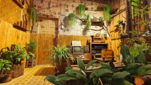 ロン・ハイにあるHomestay Hương Biển - Long Hảiの植物が多く生えるリビングルーム
