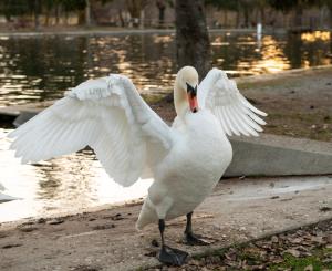Afbeelding uit fotogalerij van O Cuend'U Lac in Osséja