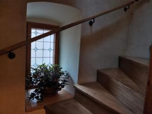 Fotografia z galérie ubytovania Apartmány U Koudelníka v destinácii Kutná Hora