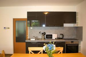 Kuchyň nebo kuchyňský kout v ubytování Apartmány Stará Voda
