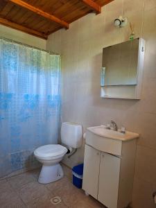 ein Badezimmer mit Toilette, Waschbecken und Spiegel in der Unterkunft Nahucar in El Bolsón + 26 Fotos