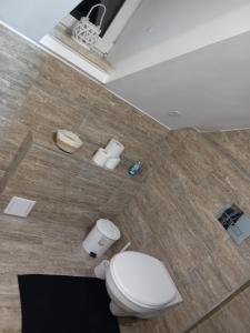 a bathroom with a white toilet in a room at Stellas Monteurwohnungen in Crimmitschau