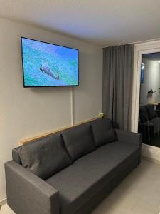 un soggiorno con divano e TV a schermo piatto di FeWo Jule im Predigtstuhl Resort a Sankt Englmar