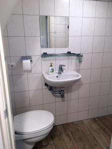 a bathroom with a toilet and a sink at Cozy Cottage in Utrecht