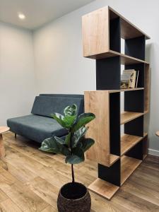 a living room with a couch and a potted plant at Sodų apartamentai in Mažeikiai +3 photos