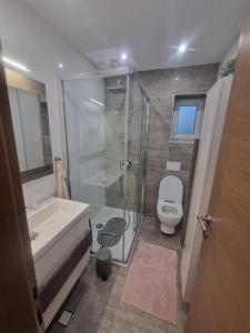 a bathroom with a shower and a sink and a toilet at Vila Velebita in Vukovar