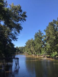 a river with trees and a dock in the water at Cabaña Doña Teresa 3 Huéspedes in Tigre
