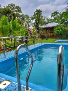 a plunge pool at a resort at Rimzim's Tatvamasi - You In Nature in Kudal