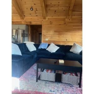 Posezení v ubytování Stunning Mountain View Cabin-Pet-Friendly-Quiet-Private-15 Min from town
