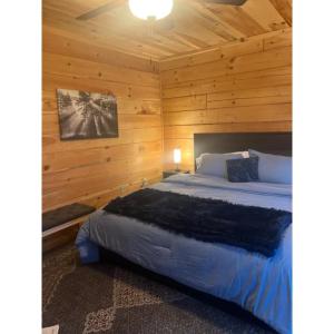 Postel nebo postele na pokoji v ubytování Stunning Mountain View Cabin-Pet-Friendly-Quiet-Private-15 Min from town