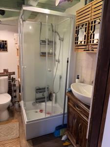 a bathroom with a shower and a sink at Casuta lu Carmen in Săbed +56 photos