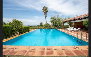a swimming pool with chairs and a palm tree at Casa de campo con piscina junto a Sevilla in Mairena del Alcor