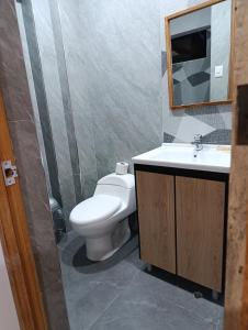 a bathroom with a toilet and a sink and a mirror at Hospedaje Velilu in Ica +27 photos