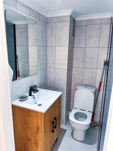 a bathroom with a toilet and a sink and a mirror at Seapoint escape stylish studio in Cape Town