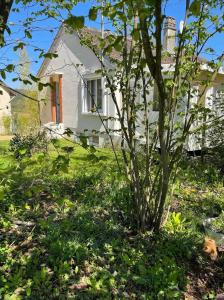 a tree in the grass in front of a house at La maison d'Aurore et Patrice - jacuzzi couvert et jardin privés in Élincourt-Sainte-Marguerite
