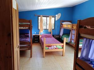 a bedroom with blue walls and bunk beds at Hostel Lo de Milton in Barra de Valizas