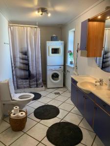 a bathroom with a toilet sink and a washing machine at Idyllic Country House On Bornholm in Neksø