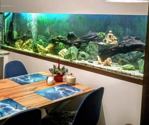 Fotografia z galérie ubytovania Apartamenty Sowianka v destinácii Ludwikowo
