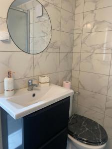 a bathroom with a sink and a mirror and a toilet at Studio Moderne et Parking gratuit in Dijon +6 photos