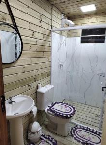 a bathroom with a white toilet and a sink at Casa pé na areia in Capão da Canoa