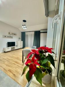 Μια τηλεόραση ή/και κέντρο ψυχαγωγίας στο Apartament Oleńka +26 φωτογραφίες
