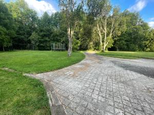 an old road with a tree in the middle of a field at Cabaña en Panguipulli in Panguipulli +7 photos