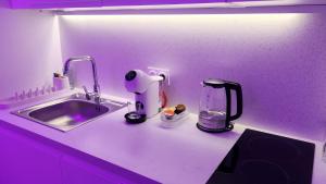 Cucina o angolo cottura di Love room à 30 mn des plages et de Vannes