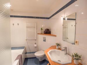 a bathroom with a sink and a toilet at Gite du Moulin in Guignicourt-sur-Vence