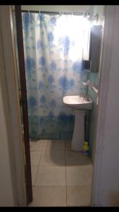Un baño con lavabo y cortina de ducha. en Departamento 2 ambientes, en Mar del Plata