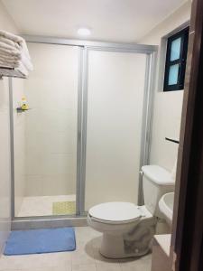 a bathroom with a shower and a toilet at Department, Studio Type Excellent Location in Mexico City