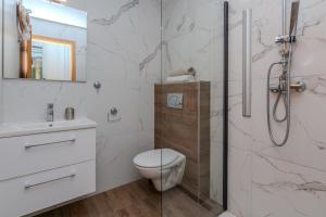ein Badezimmer mit Toilette und Dusche in der Unterkunft Family friendly house with a parking space Zaton, Zadar - 23570 in Zaton + 17 Fotos