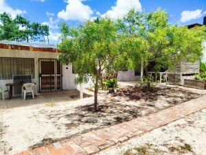 un albero nel cortile di una casa di Los Caranchos I a Cuchilla Alta