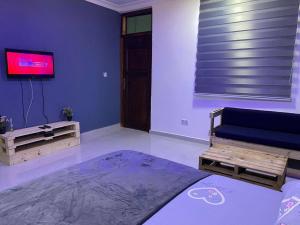 a living room with a couch and a tv at Fully Furnished Studio Apartment in Kwedonu +3 photos