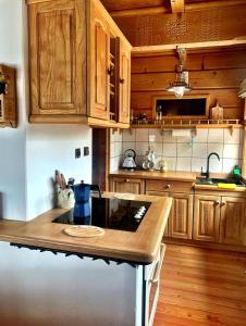 a kitchen with wooden cabinets and a counter top at Mountain cozy house in Tatras with stunning view in Ząb +12 photos