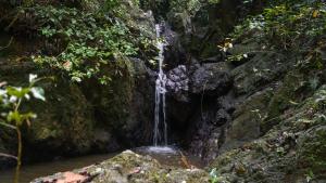 Paesaggio naturale nelle vicinanze di questo campeggio di lusso