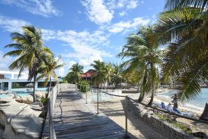 a boardwalk leading to a beach with palm trees at Appartement Manganao beach in Saint-François