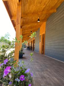 Zahrada ubytování Casa Parral Hostal